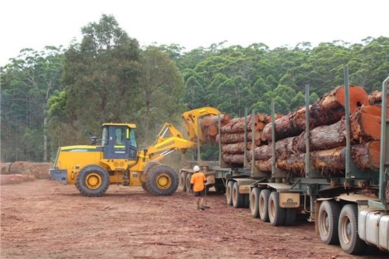 A maquinaria de levantamento de construção pesada do peso 20000KGS com 6Tons opera o peso