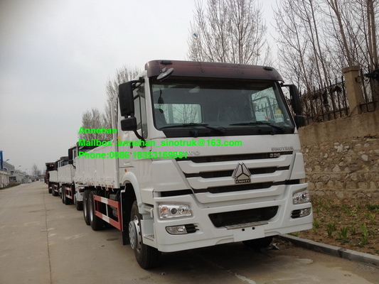 Sinotruk 40T Stander 336hp 10 roda o caminhão pesado da carga